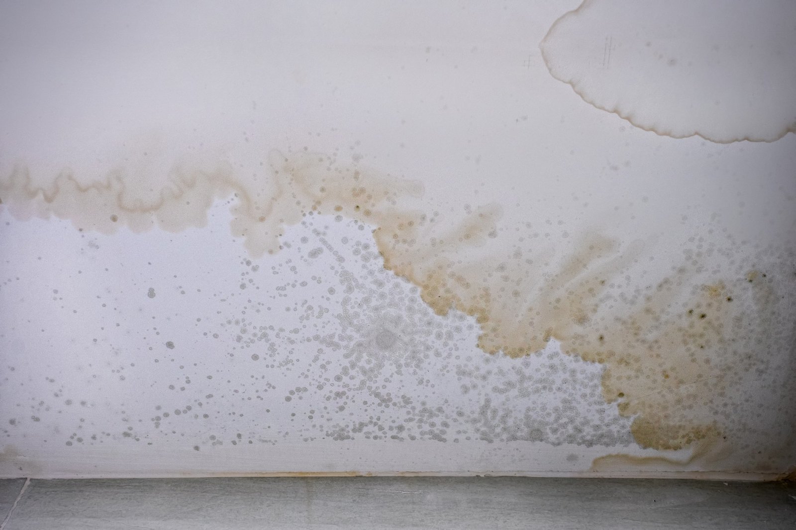 Feuchte Badezimmerwand mit Kondenswasser